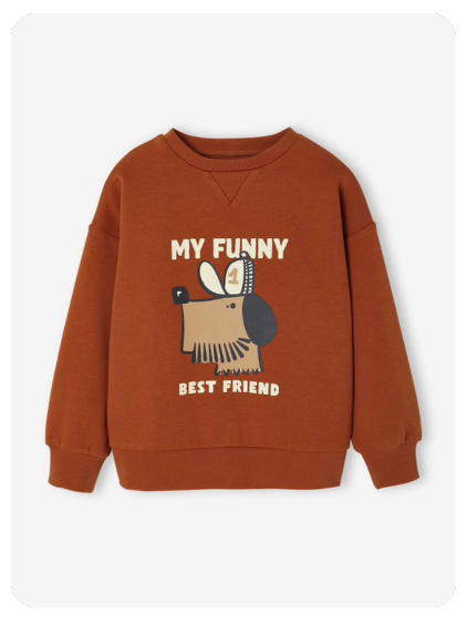 Sweatshirt mit Hundemotiv für Jungen - terrakotta farbe